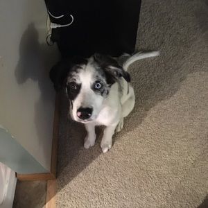 Meet your Posher, Rheanna